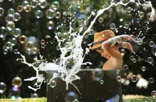 Best of the Webs 1